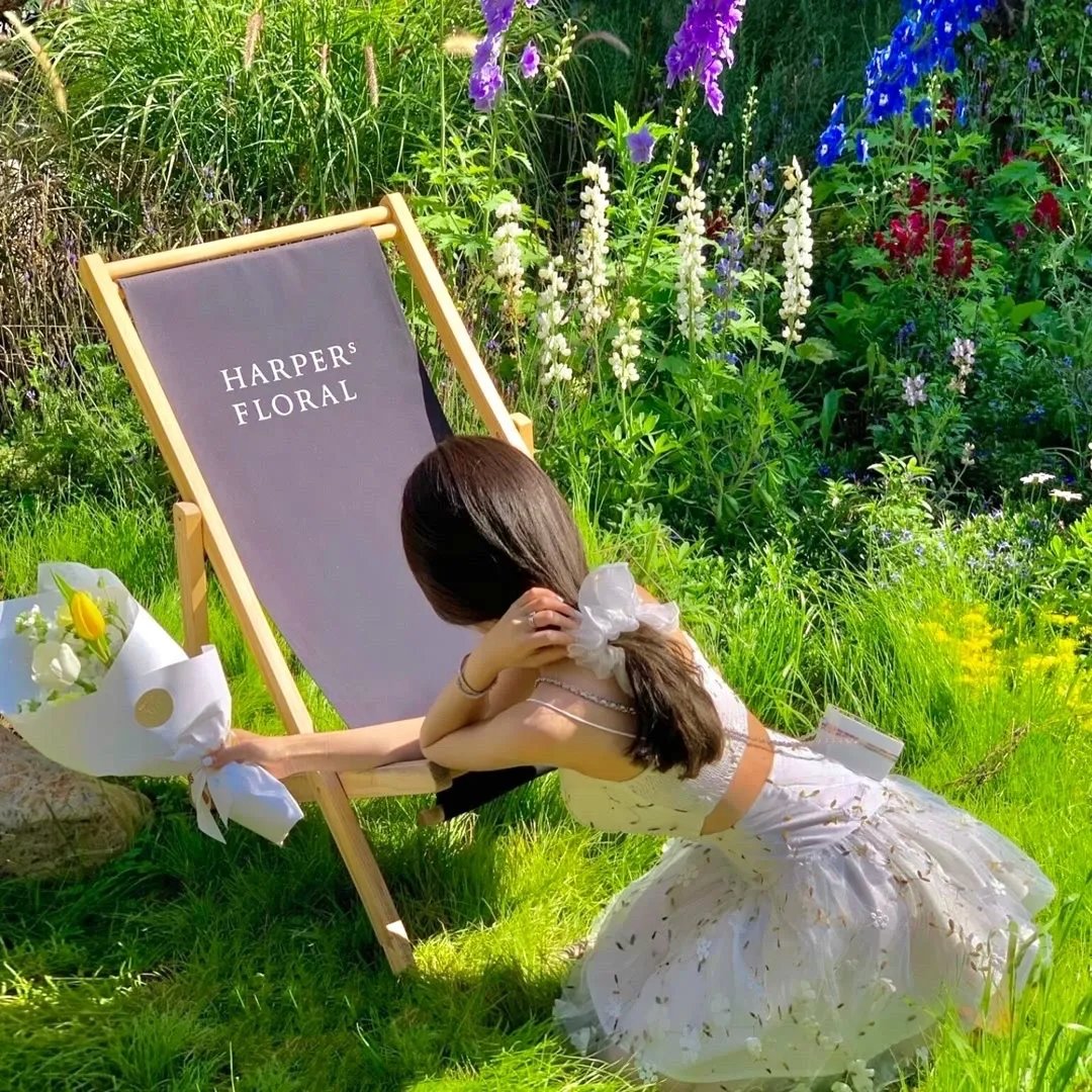 王爷你家四宝又掀翻京城了